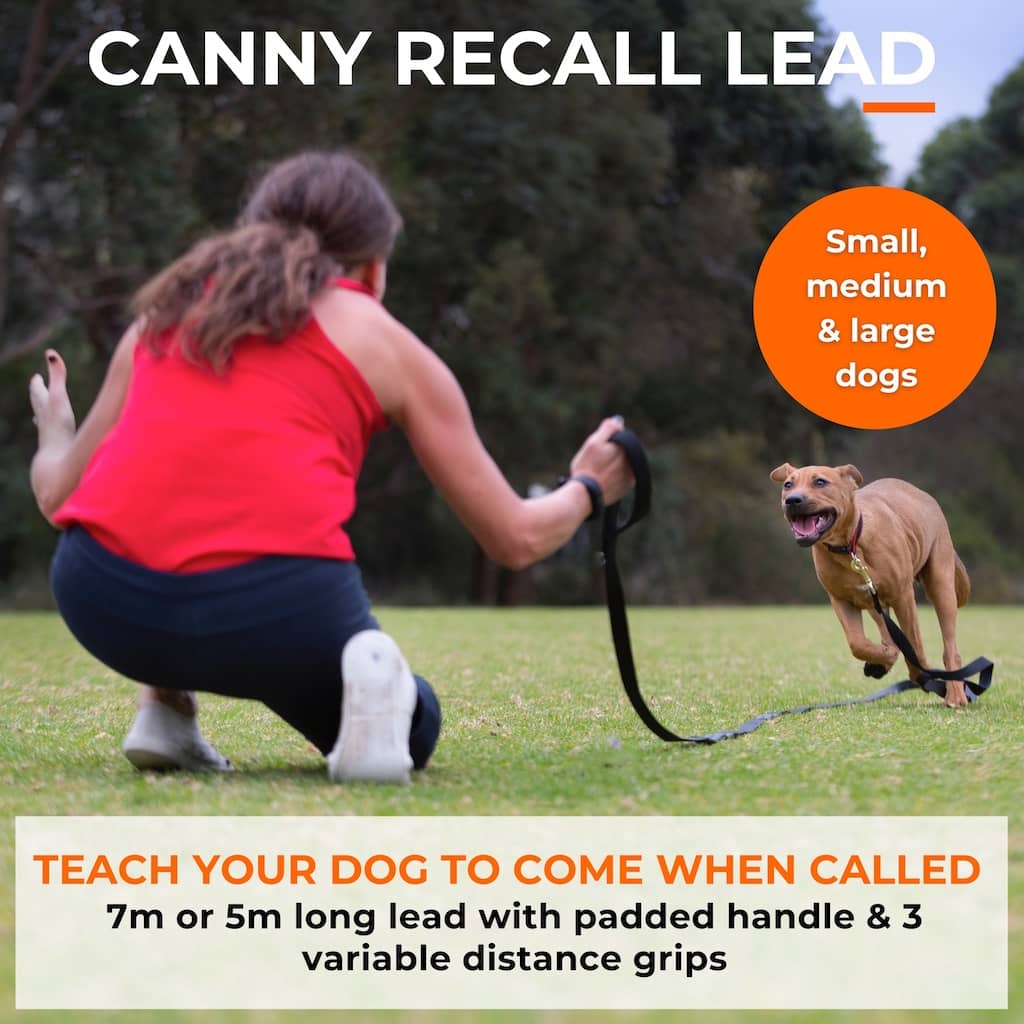 Canny long training line recall lead for dogs