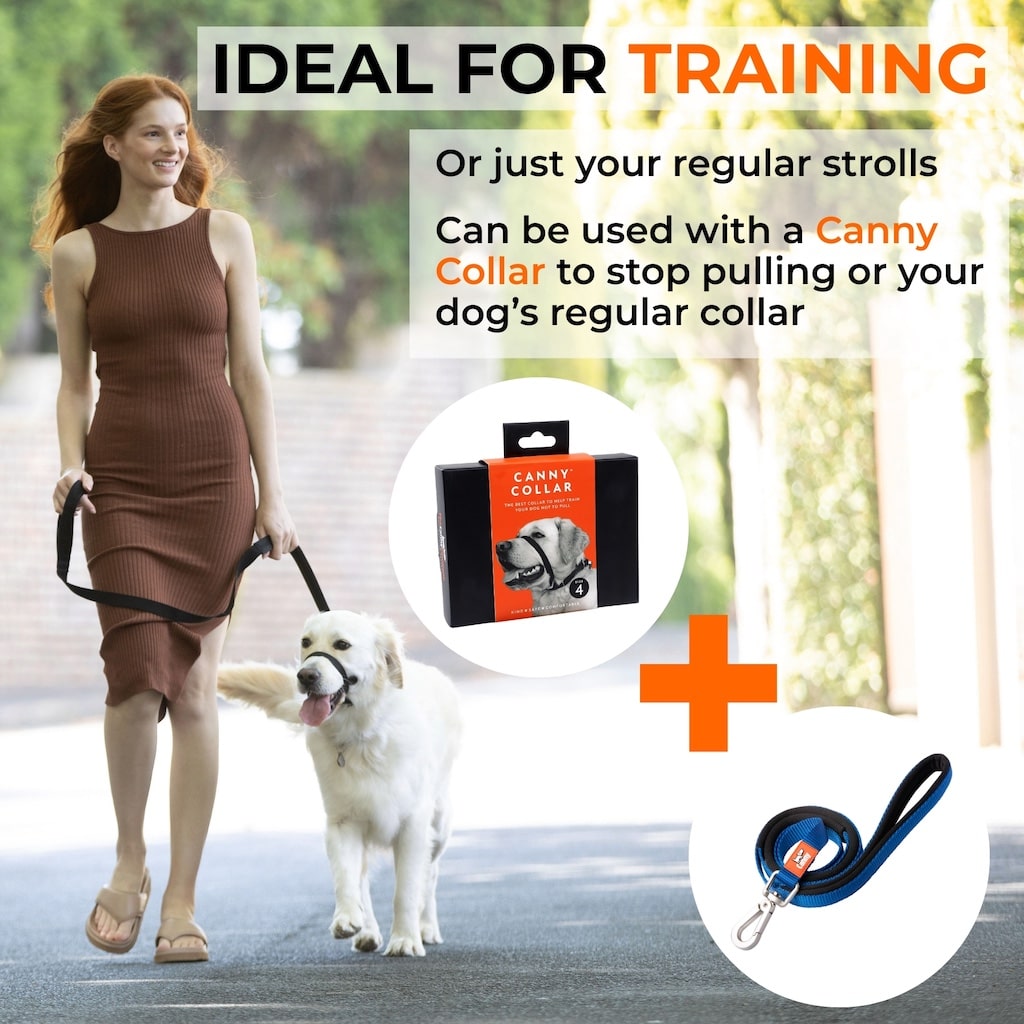 Canny Lead dog training lead