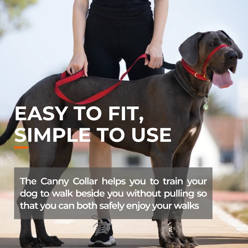 Canny Collar no-pull dog headcollar – view 6