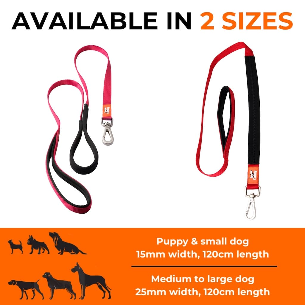 Canny Lead dog training lead – view 5