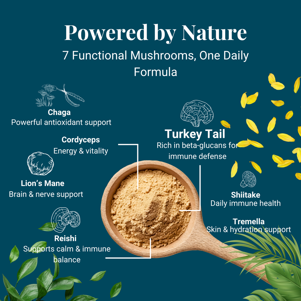 Kindly Tail Vital 7 organic mushroom blend for dogs and cats – view 5