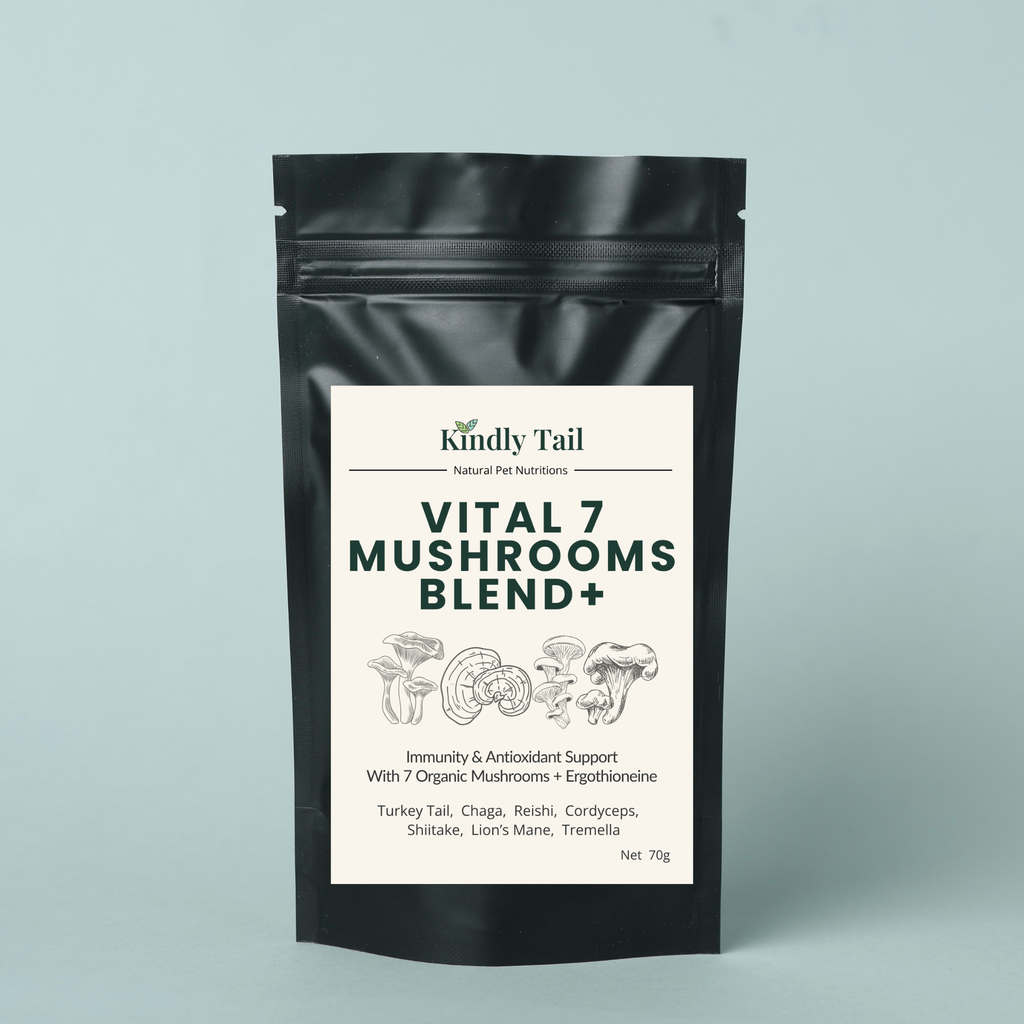 Kindly Tail Vital 7 organic mushroom blend for dogs and cats