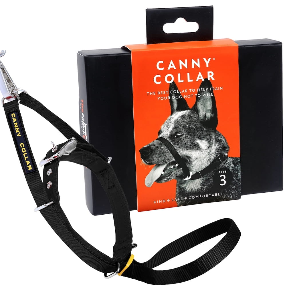 Canny Collar no-pull dog headcollar