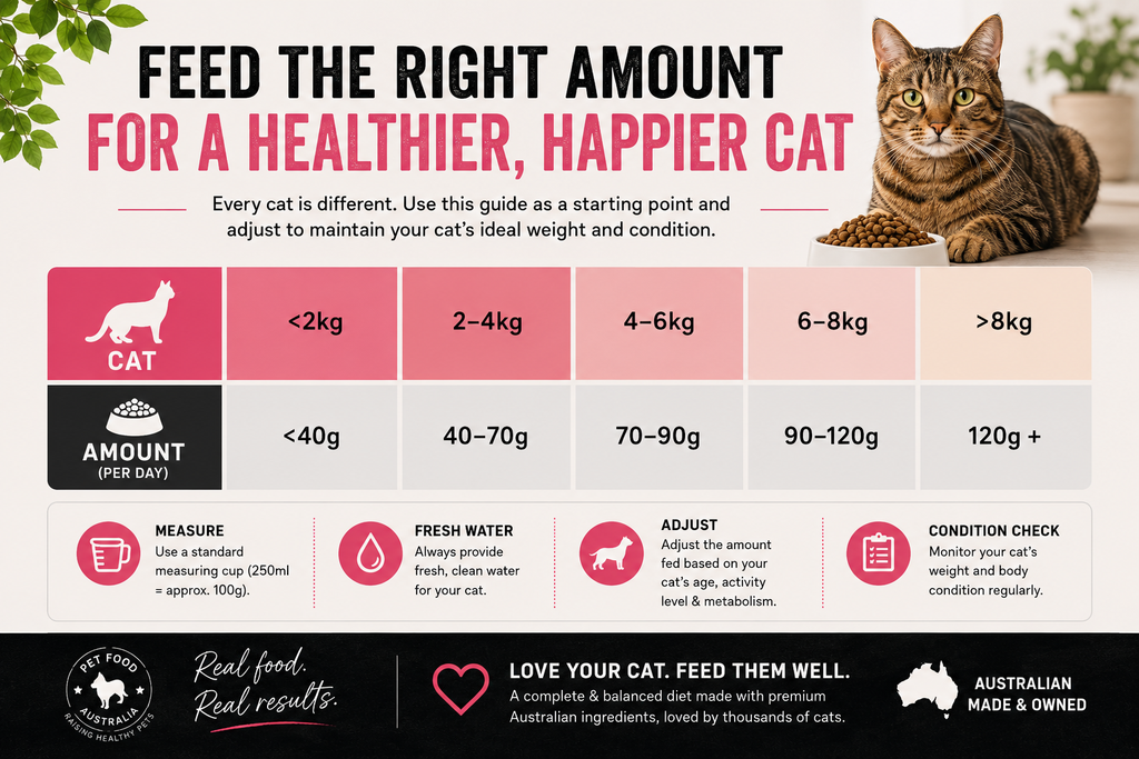 Multi-protein grain-free dry cat food – view 6