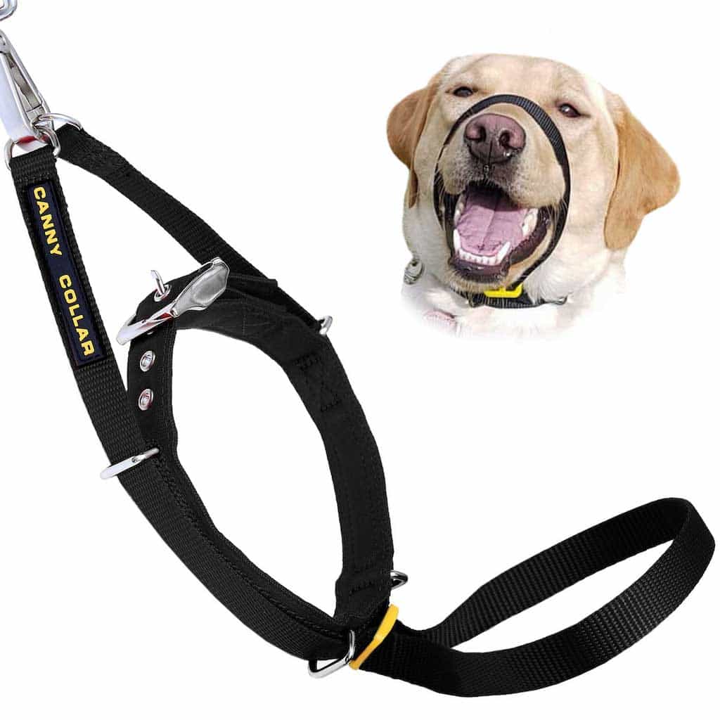 Canny Collar no-pull dog headcollar – view 10