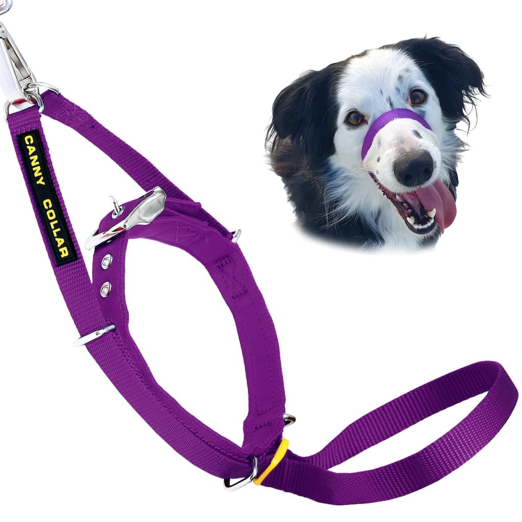 Canny Collar no-pull dog headcollar – view 13