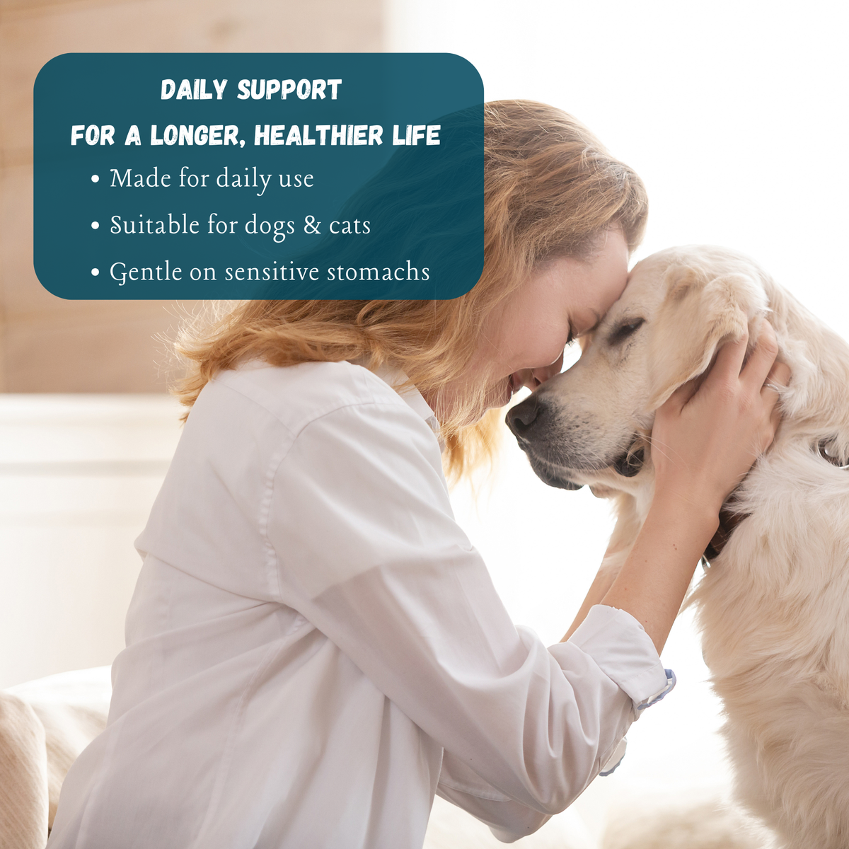 Kindly Tail Vital 7 organic mushroom blend for dogs and cats – view 8