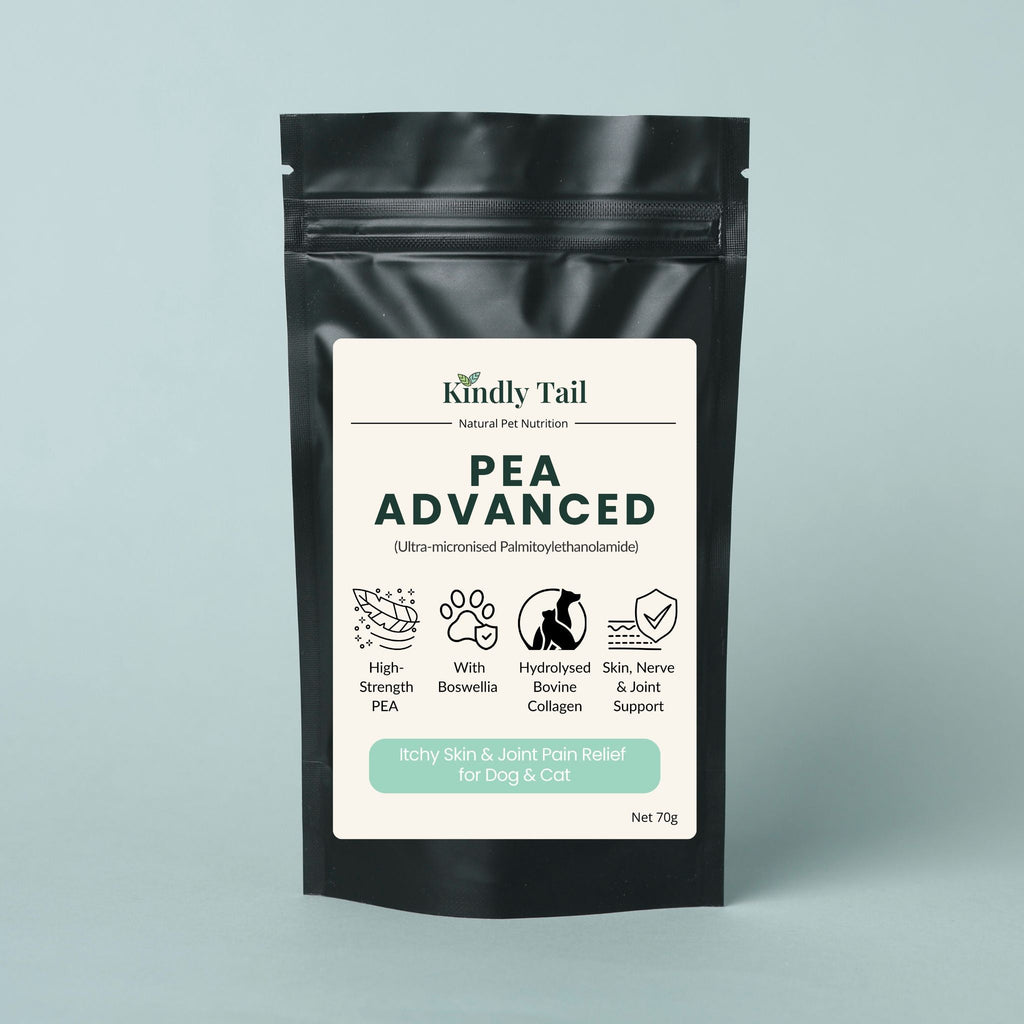 Kindly Tail PEA Advanced powder for dogs and cats