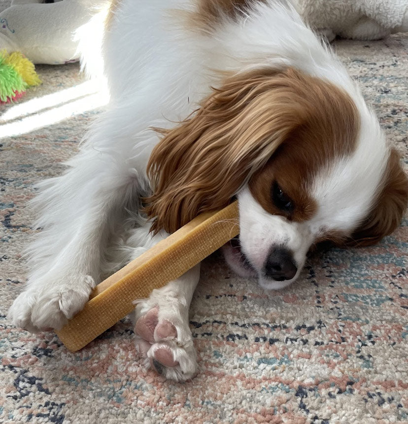 Kukuje Himalayan dog chew – view 2