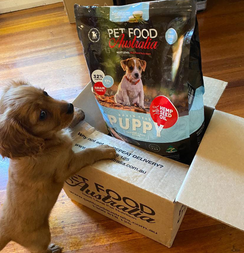 Grain-free puppy food with chicken and duck – view 2