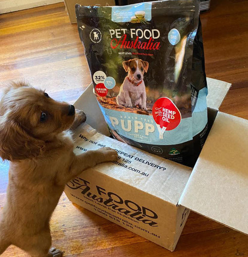 Grain-free puppy food with chicken and duck – view 2
