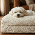 Solace cloud dog bed in ivory white