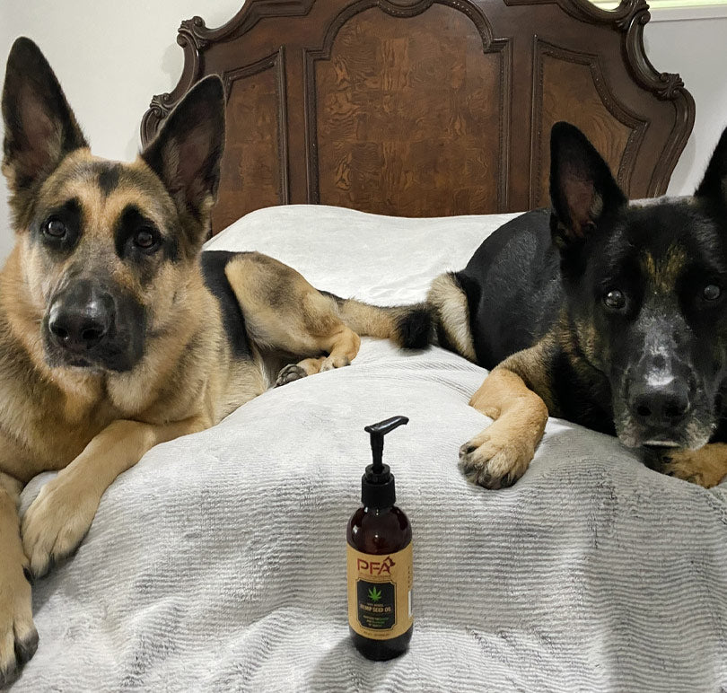 Hemp seed oil for dogs 200mL – view 3